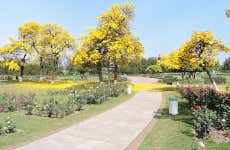 Free tour di Chandigarh