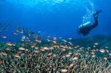 Buceo en Nusa Penida