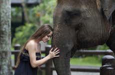 Excursion à Elephant Safari Park