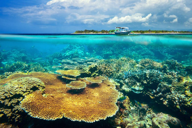 Recife de coral nas Ilhas Gili