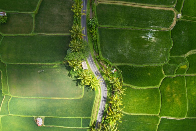 Vista aérea de uma estrada de Bali