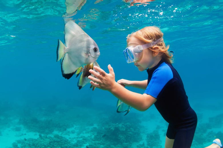 Uma criança fazendo snorkel