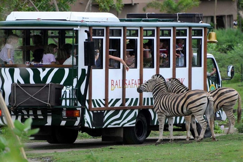 Il pulmino del Safari Park