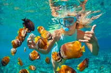 Snorkeling dans le Lagon Bleu de Padangbai