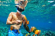 Snorkel en Nusa Penida y Nusa Lembongan