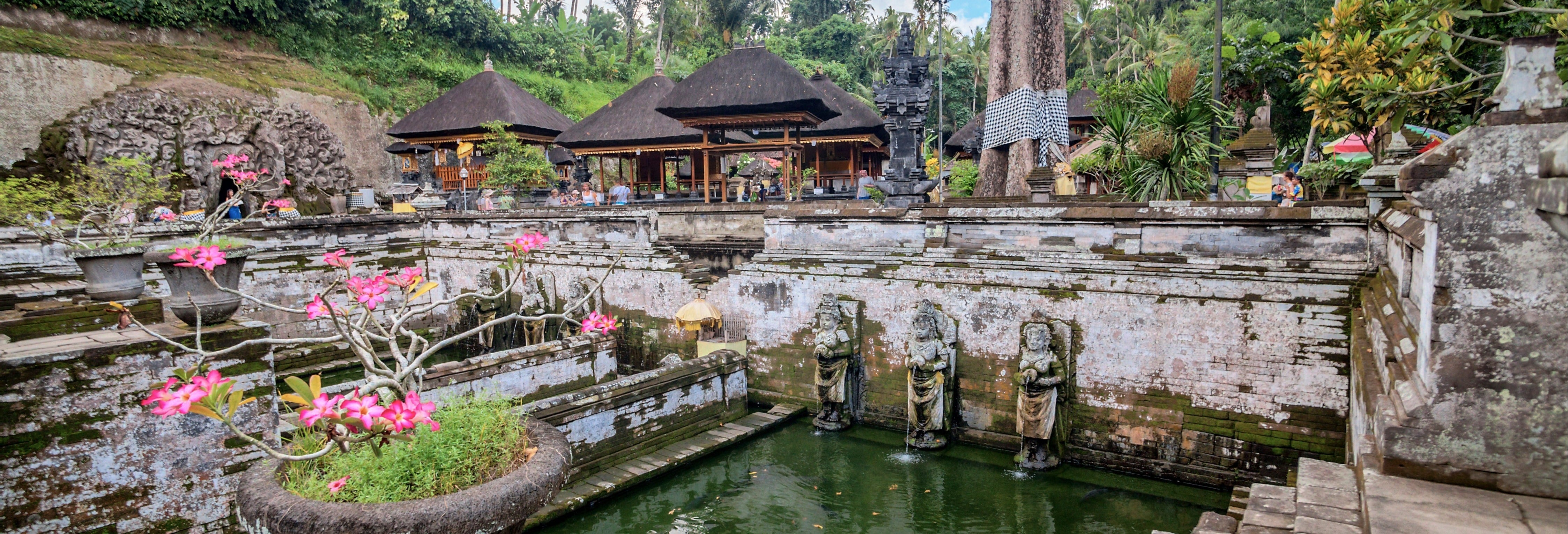 Visite d'Ubud, Goa Gajah et du centre de Bali