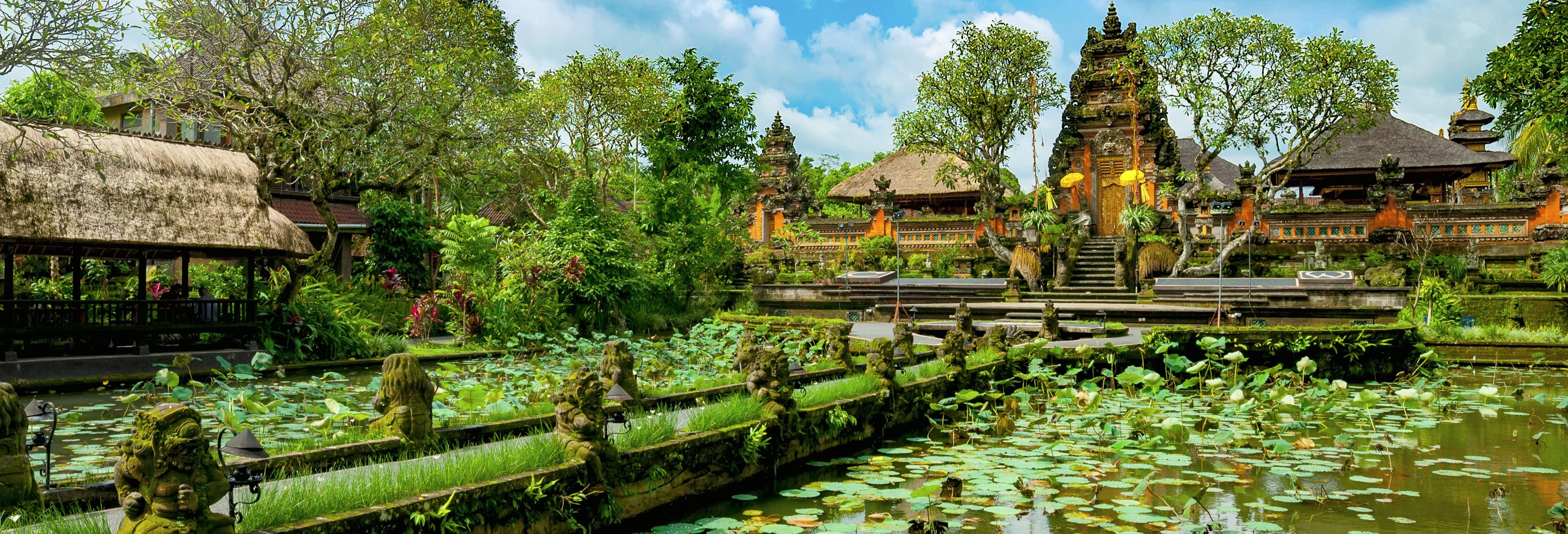 Visita guiada por Ubud