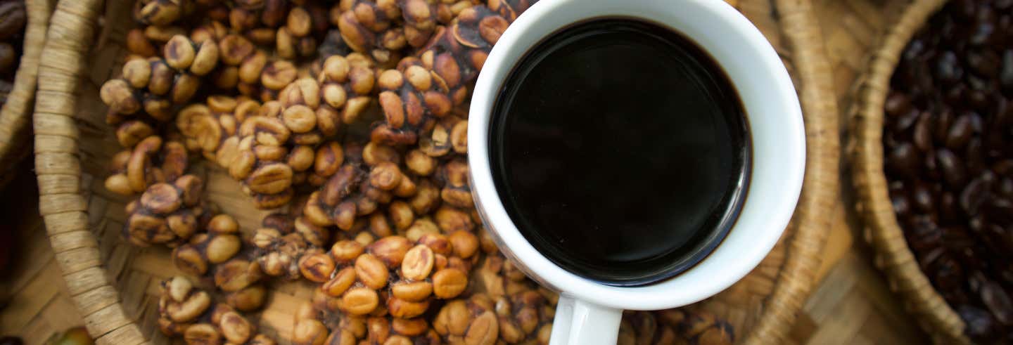 Excursão privada ao Tangkuban Perahu + Centro produtor do café Kopi Luwak