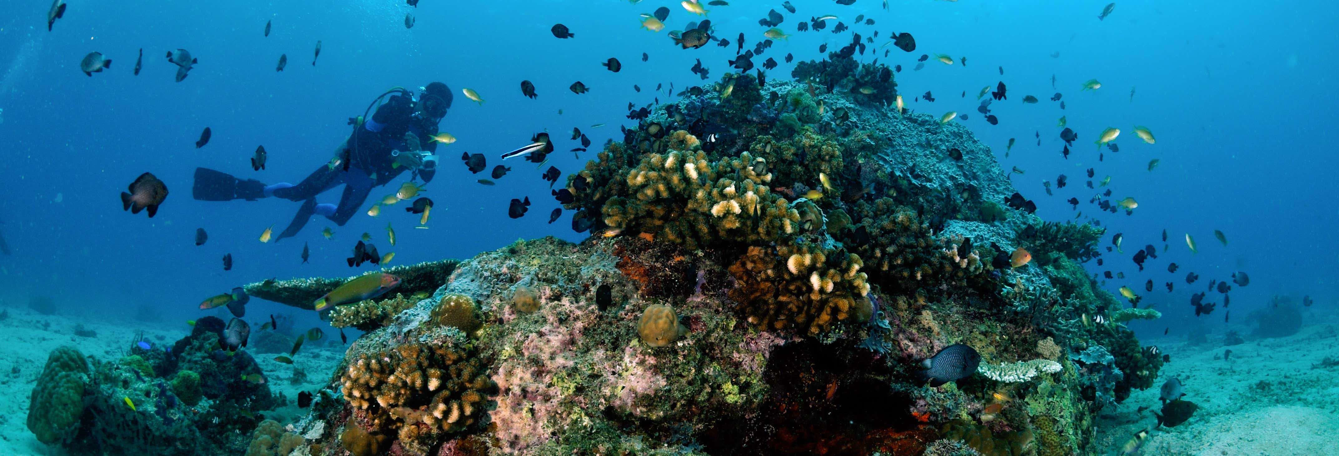 Curso de buceo PADI Open Water