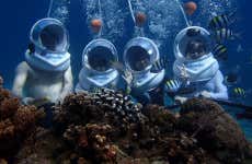 Seawalker en Gili Trawangan