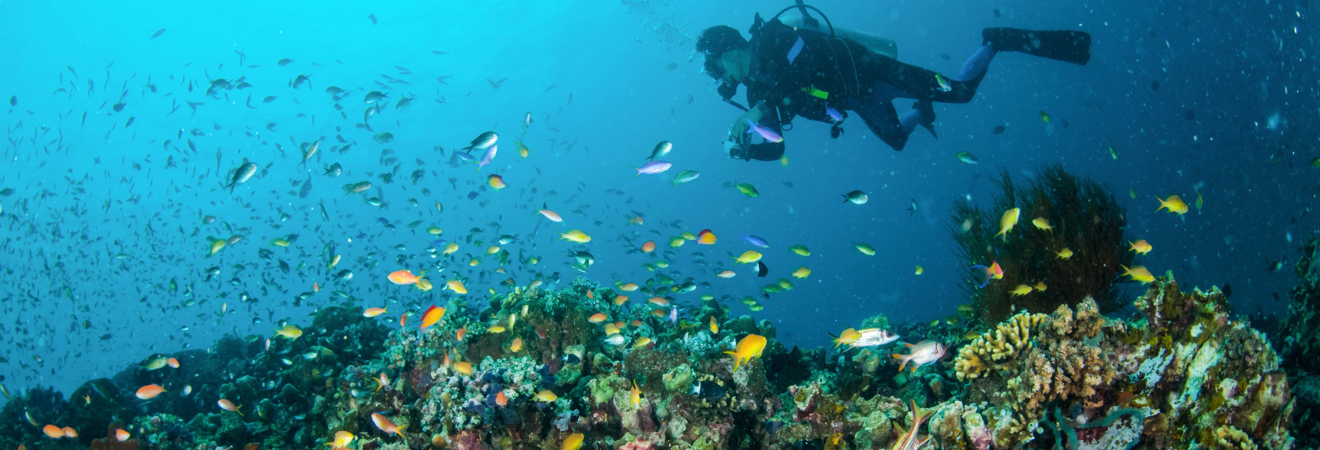 Bautismo de buceo en Lombok