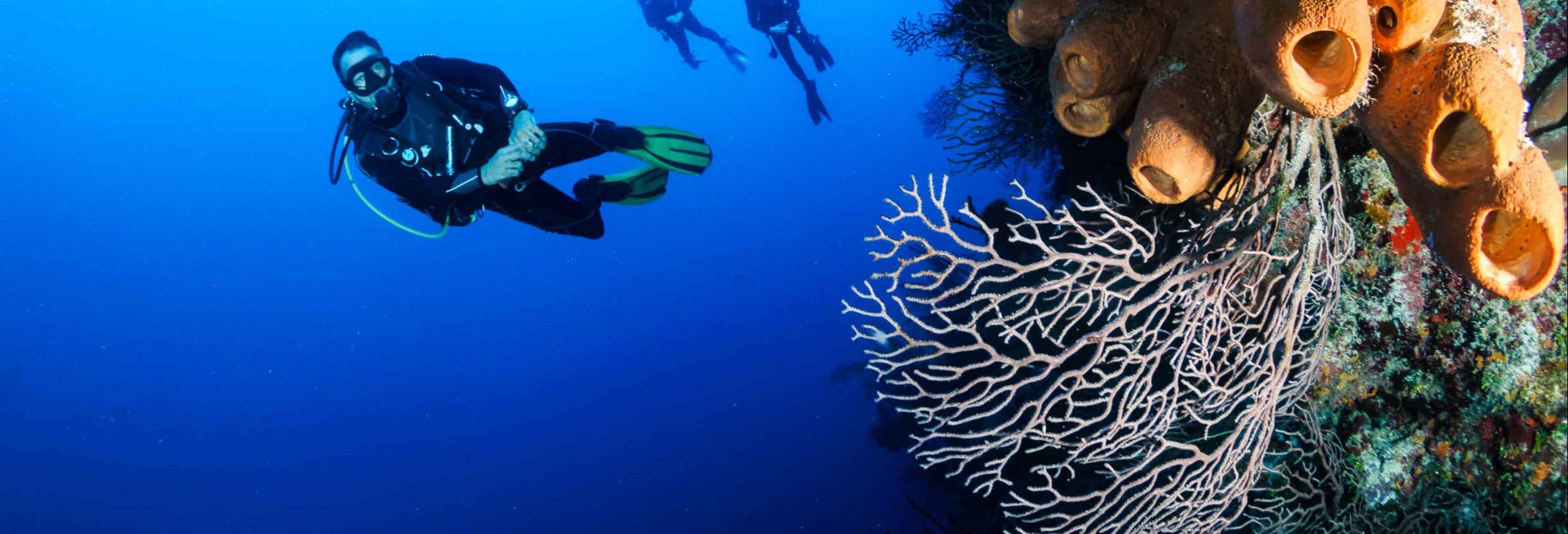 Buceo en Nusa Lembongan