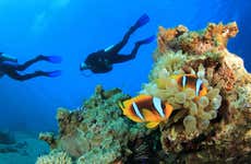 Curso de buceo PADI Open Water