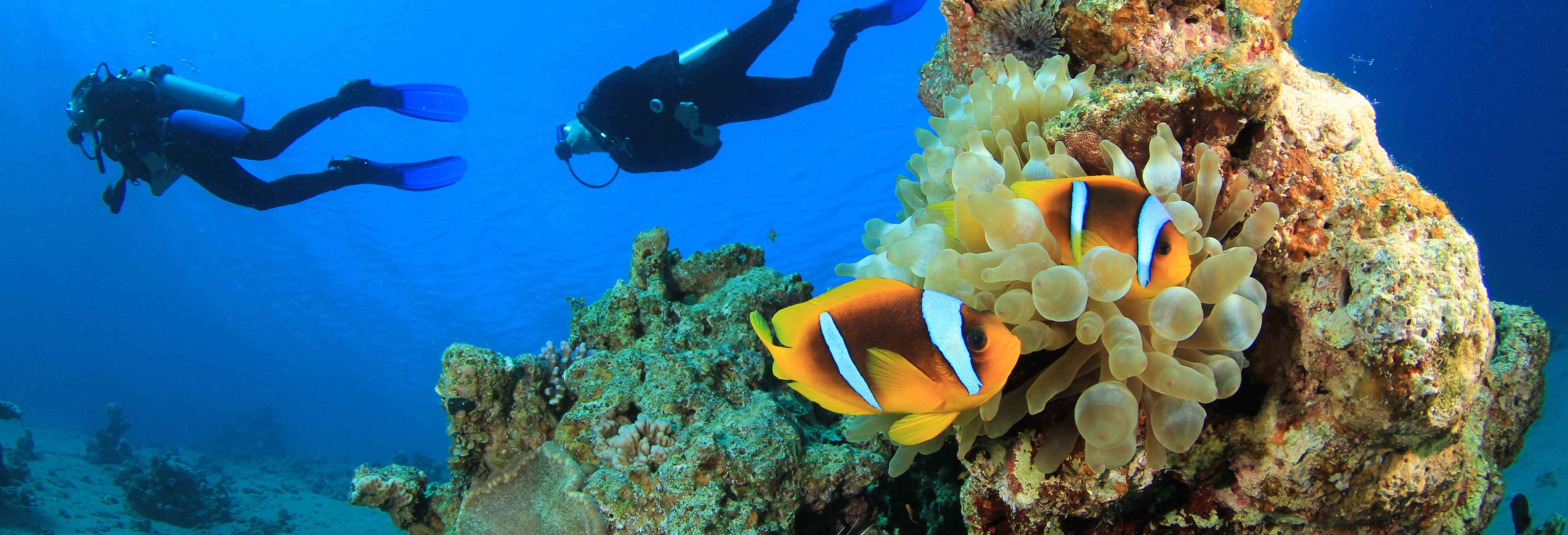 Curso de buceo PADI Open Water