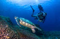 PADI Discover Scuba Diving Course