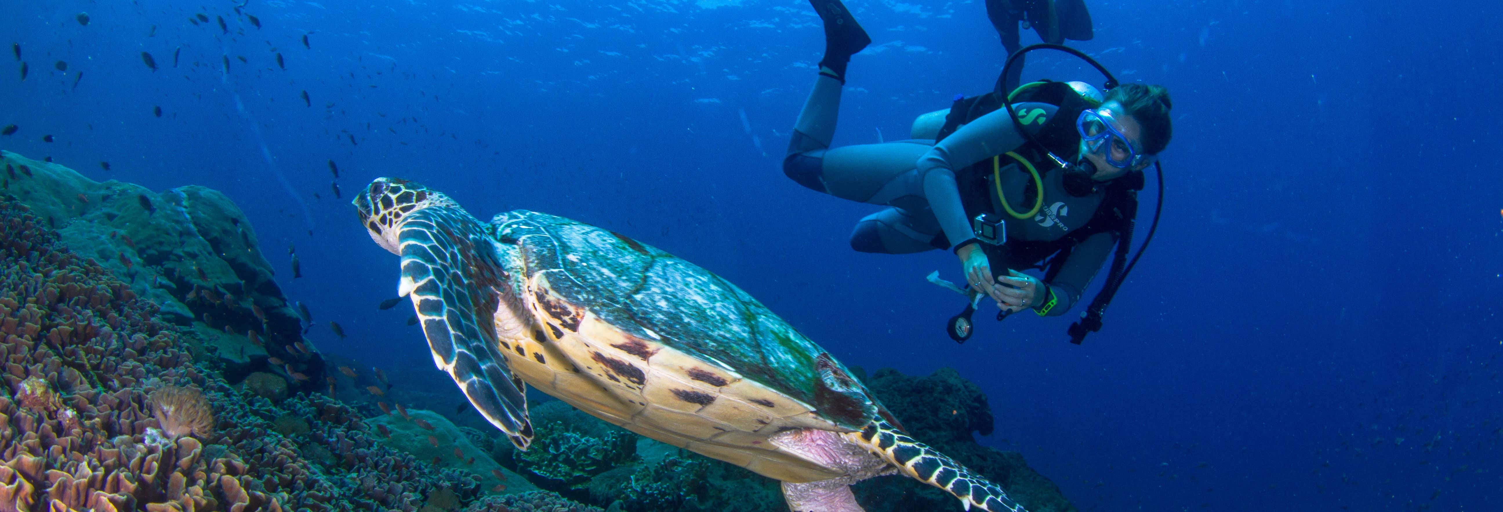 Curso PADI Discover Scuba Diving