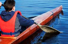 Cork Kayak Tour