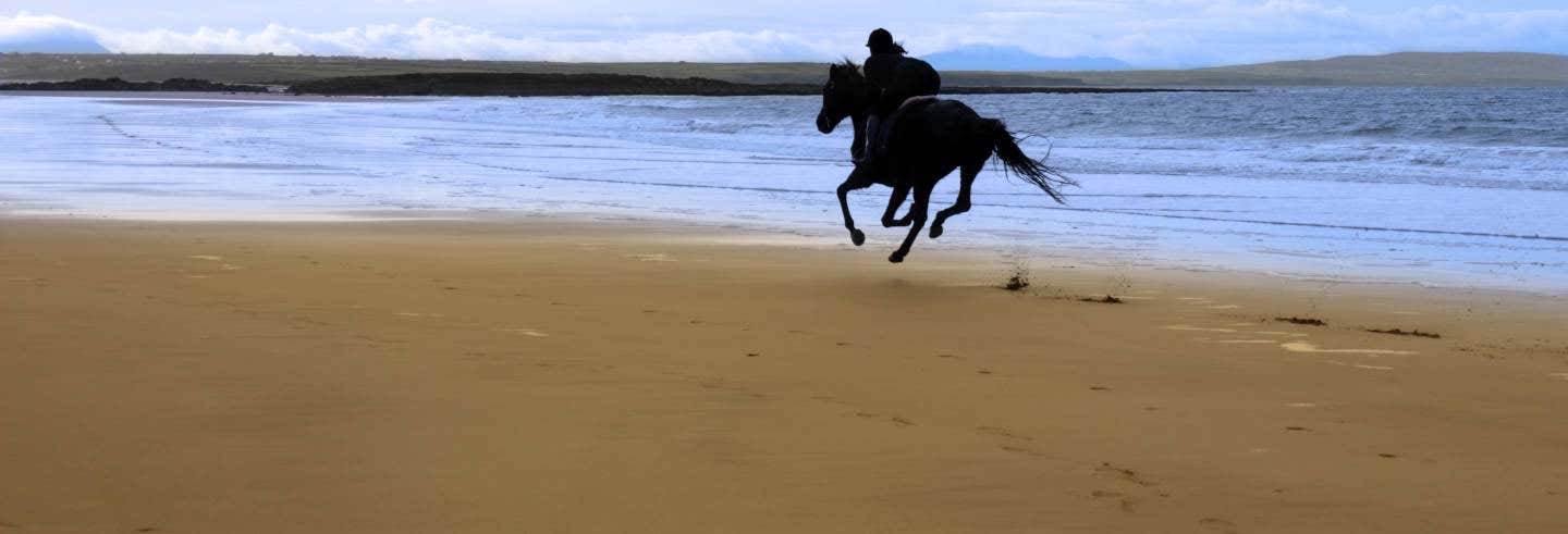 Paseo a caballo por las playas de Grange