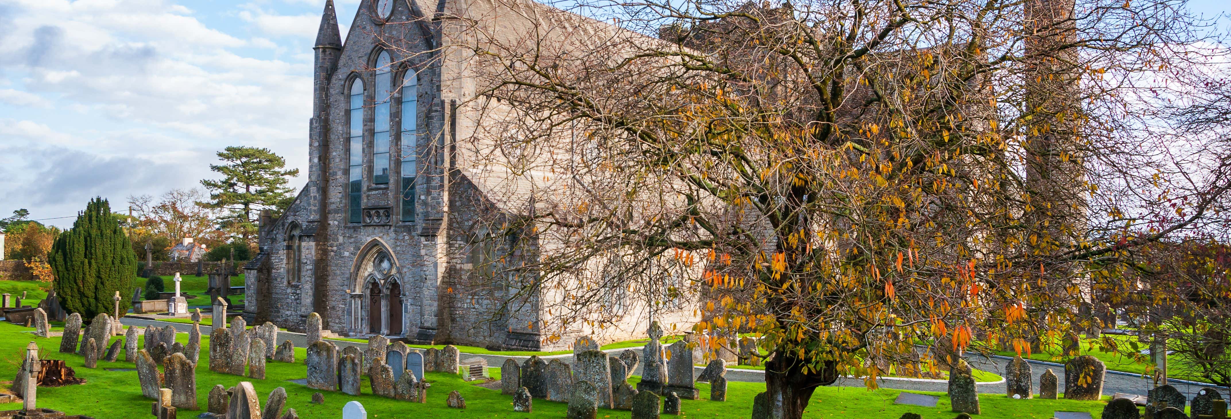 Visita guidata di Kilkenny