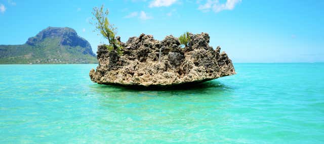 Excursão à ilha de Benitiers de catamarã