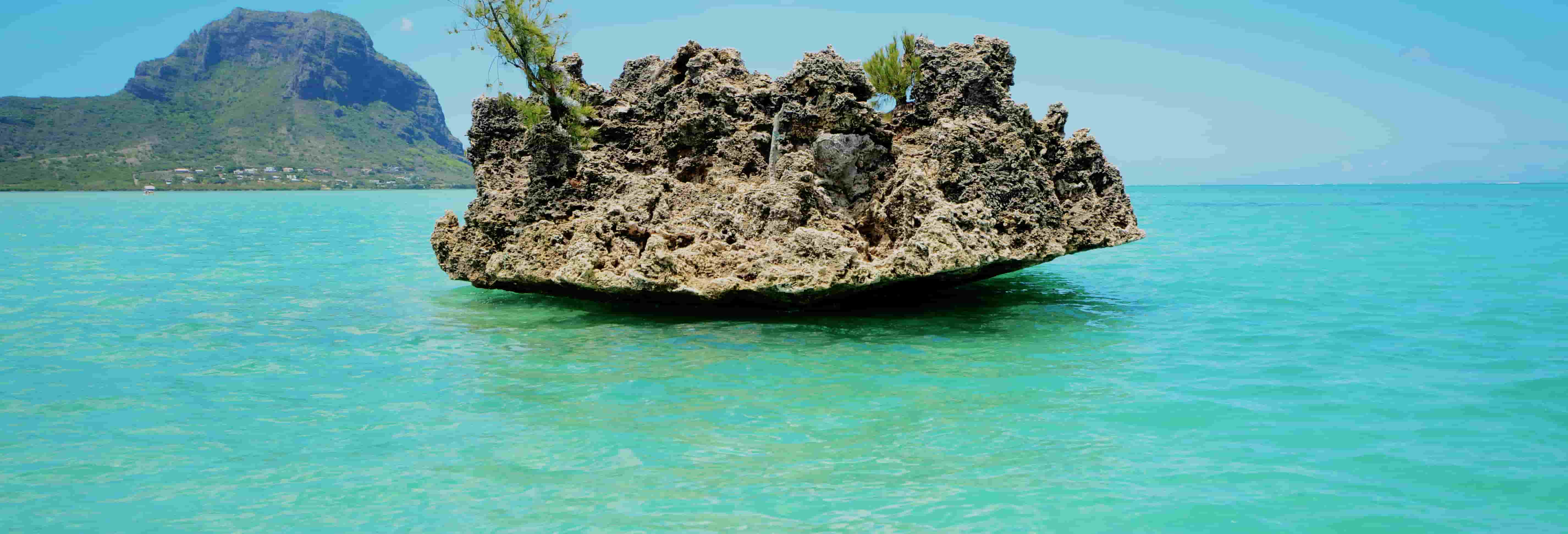 Excursion à l'île aux Benitiers en catamaran