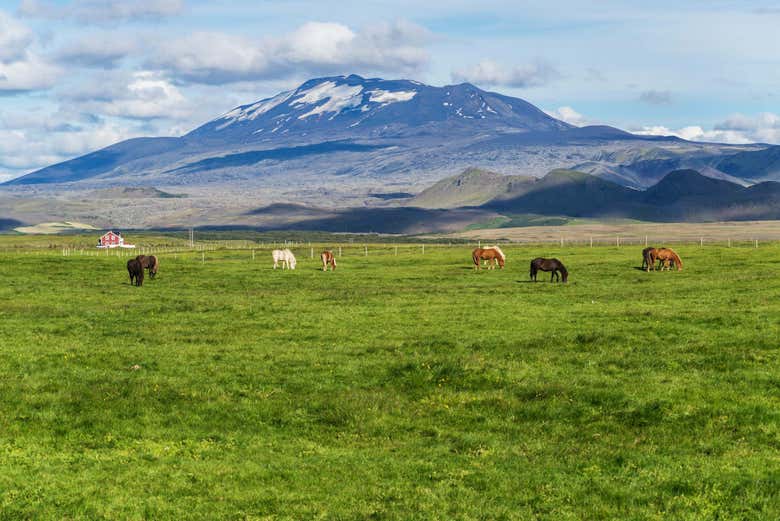 Horse Riding In Mountains Of Hella Book Online At Civitatis Com