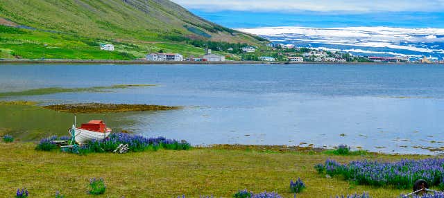 Tour por los Westfjords para cruceros
