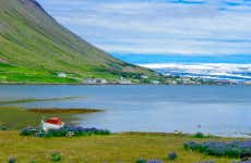 Tour por los Westfjords para cruceros