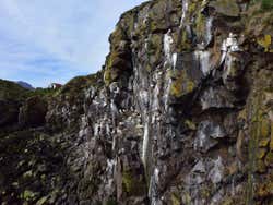 Oiseaux à Borgafjordur Eystri