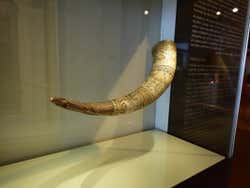 Viking horn