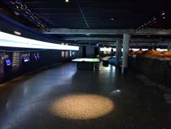Settlement Exhibition