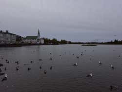 Panoramic view of Tjörnin Lake