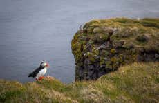 Trekking por Látrabjarg