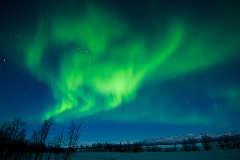 Scie verdi dell'aurora boreale