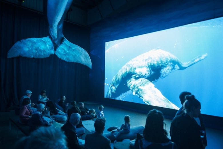 Exposição de baleias em Reykjavík