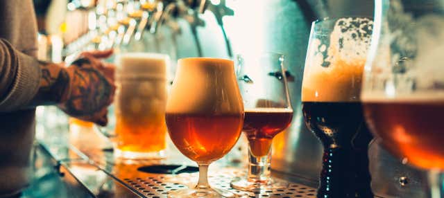 Reykjavik Craft Beer Tour