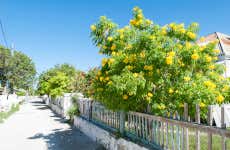 Autobus turistico di Grand Turk