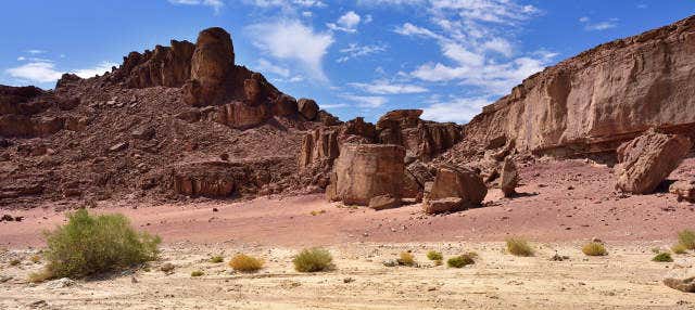 Excursion au parc national de Timna