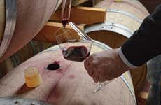 Visita a la bodega Quattrocieli