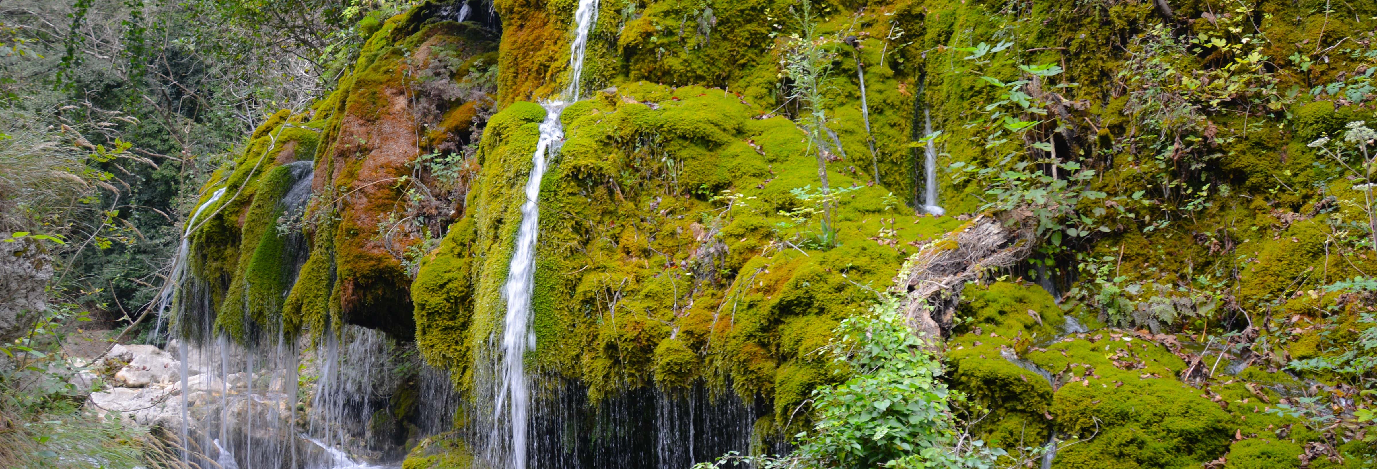 Escursione alle cascate Capelli di Venere