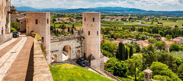 Tour di Assisi e Spello
