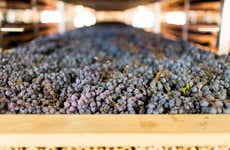 Tour do vinho por Valpolicella