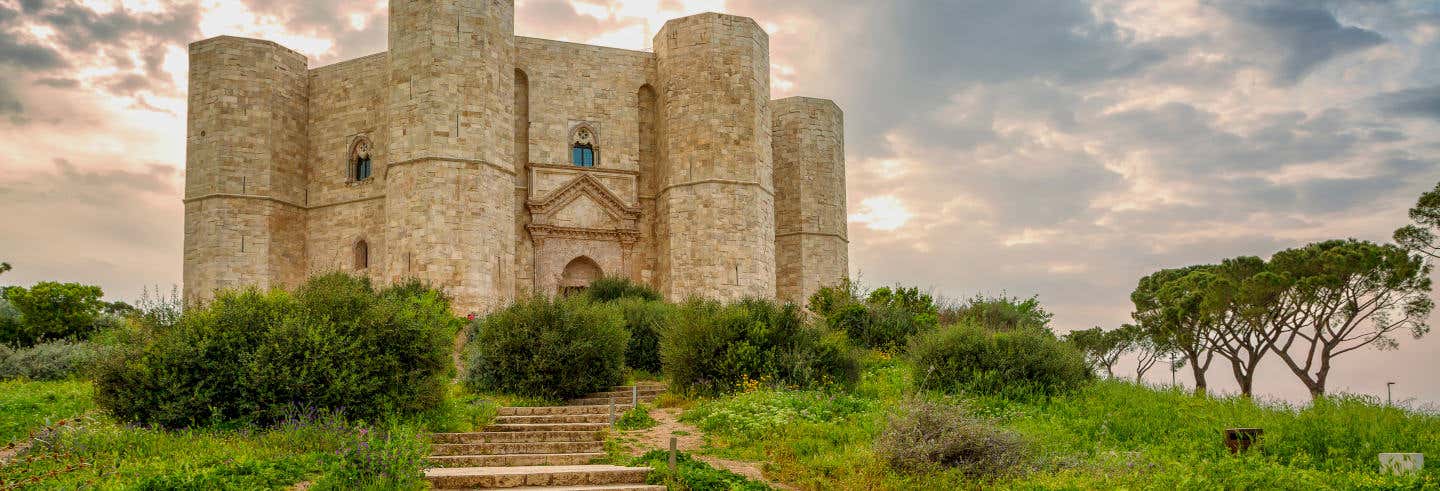 Escursione a Trani e Castel del Monte da Brindisi