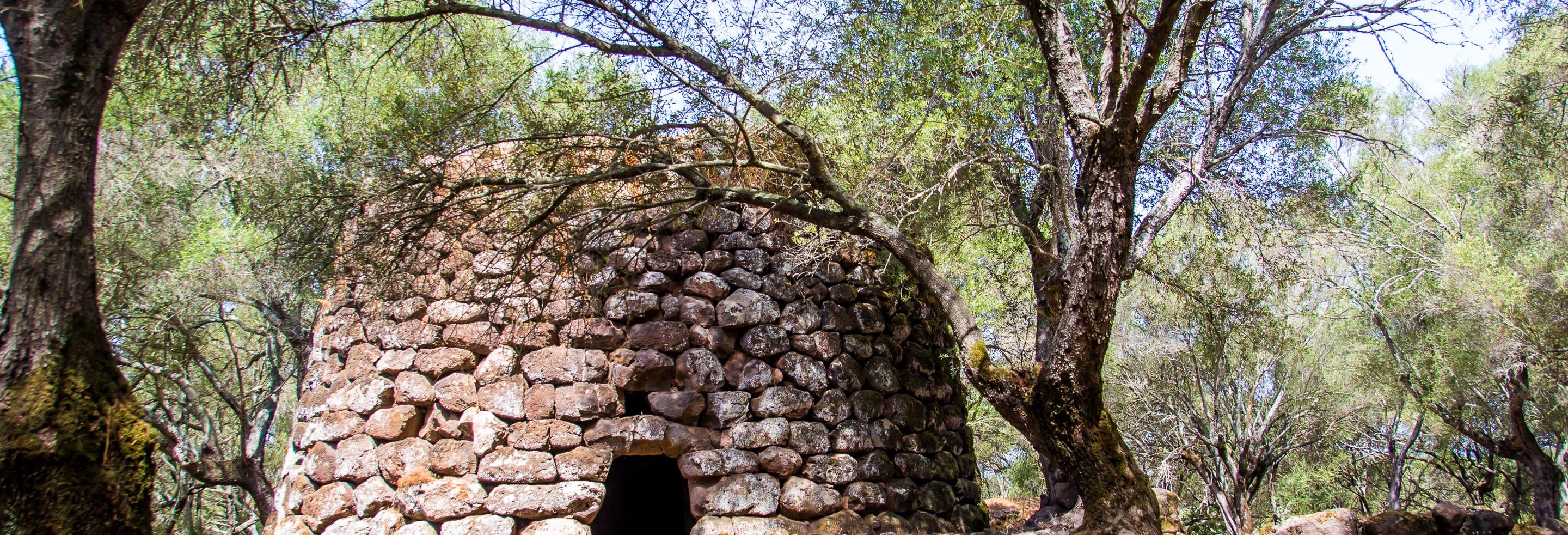 Excursão ao sítio arqueológico de Santa Cristina