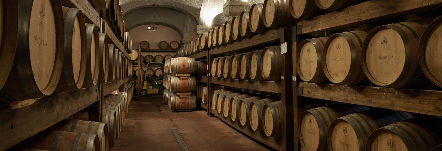 Visita guidata della Cantina Argiolas da Cagliari