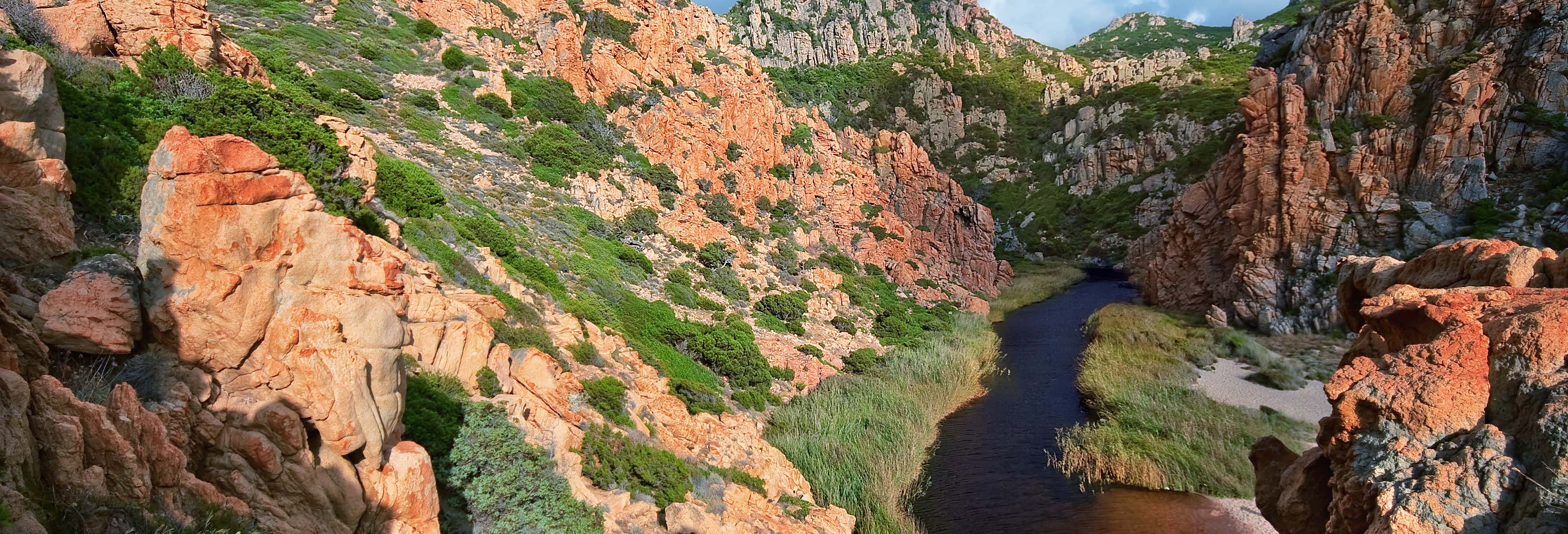 Discesa in corda nel canyon di Codula Fuili da Cala Gonone