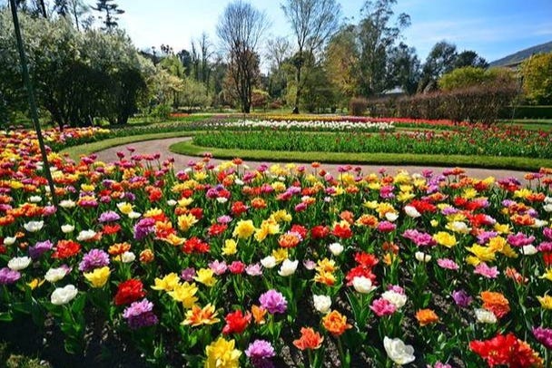 Le jardin fleuri de la Villa Taranto