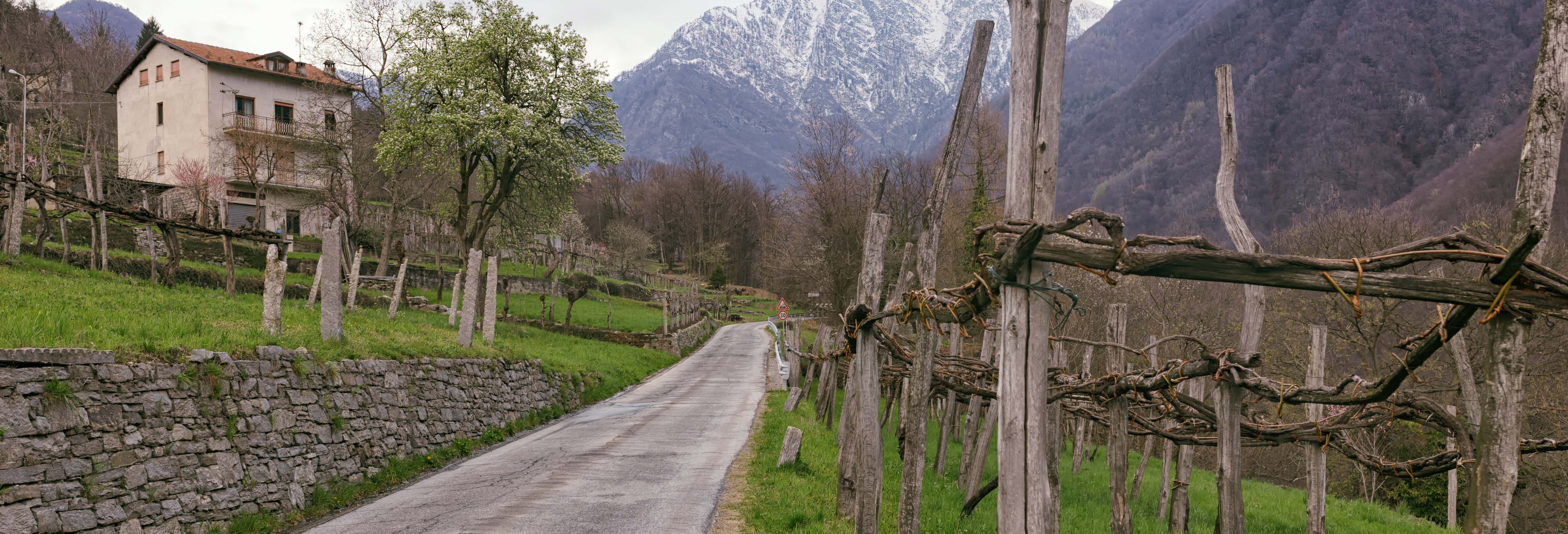 Trekking a Montecrestese + Degustazione vini da Cannobio