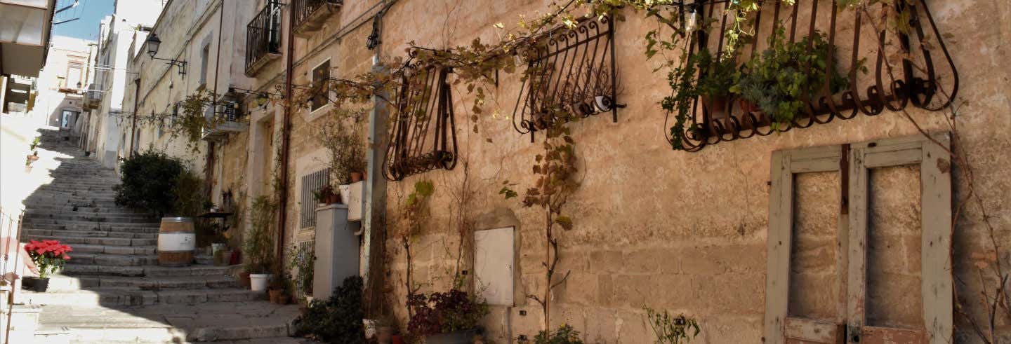 Tour privado por Canosa di Puglia con guía en español