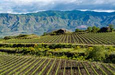 Taormina & Etna Winery Day Trip